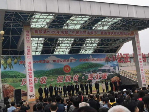 促增收，助脫貧——雙龍鎮(zhèn)參加全縣消費(fèi)扶貧產(chǎn)品展銷會(huì)，開(kāi)展經(jīng)營(yíng)助力打贏脫貧攻堅(jiān)戰(zhàn)